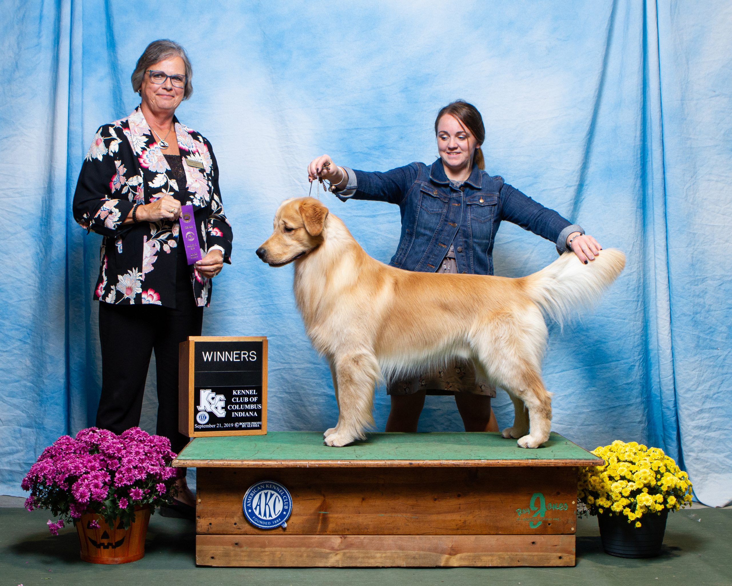 Winners Dog out of 12-18 Month Class